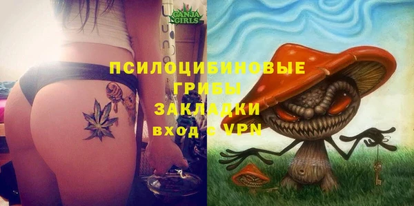 ПСИЛОЦИБИНОВЫЕ ГРИБЫ Беломорск