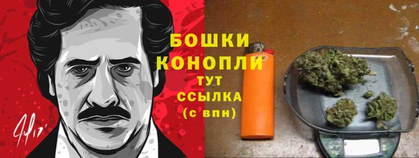 дурь Белокуриха