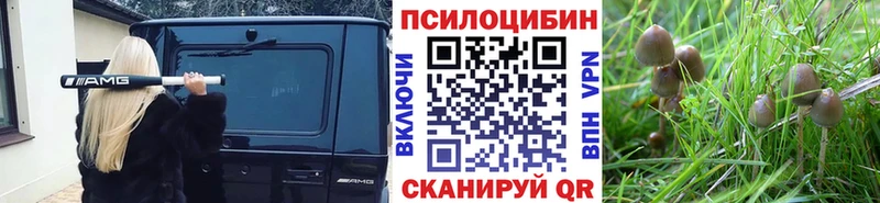 Галлюциногенные грибы ЛСД  гидра ТОР  Белый  купить закладку 
